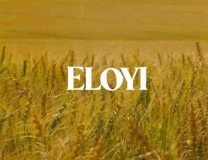 DJ Ngwazi – Eloyi (feat. Joocy & DJ Tira)