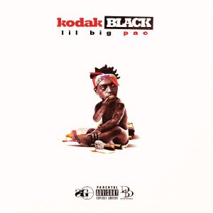 Kodak Black  -  Everything 1K