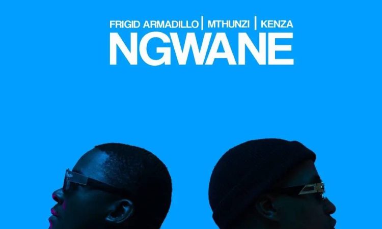 Frigid Armadillo, Kenza & Mthunzi – Ngwane